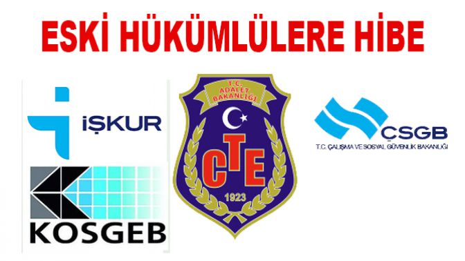 ESKİ HÜKÜMLÜLERE HİBE DESTEĞİ NELERDİR