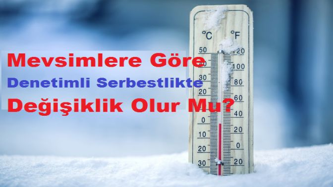 Denetimli Serbestlik İlginç Karar Türleri