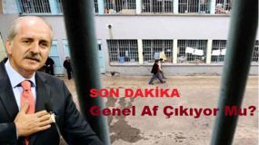 AF'ta son durum