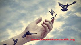 DENETİMLİ SERBESTLİK TEDBİRİ UYGULANARAK CEZALARIN İNFAZI (CGTİHK 105/A)