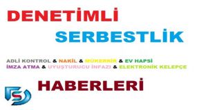 DENETİMLİ SERBESTLİK YÖNETMELİĞİNİN ÖZETİ