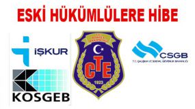 ESKİ HÜKÜMLÜLERE HİBE DESTEĞİ